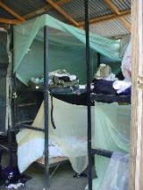 Bunkbeds